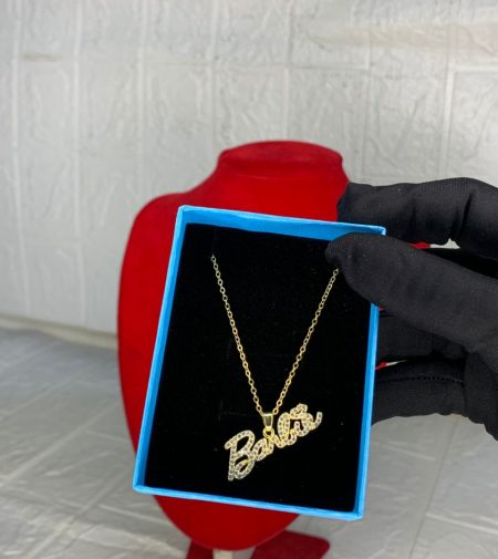 whatsapp image 2026 01 12 at 1.41.25 pm